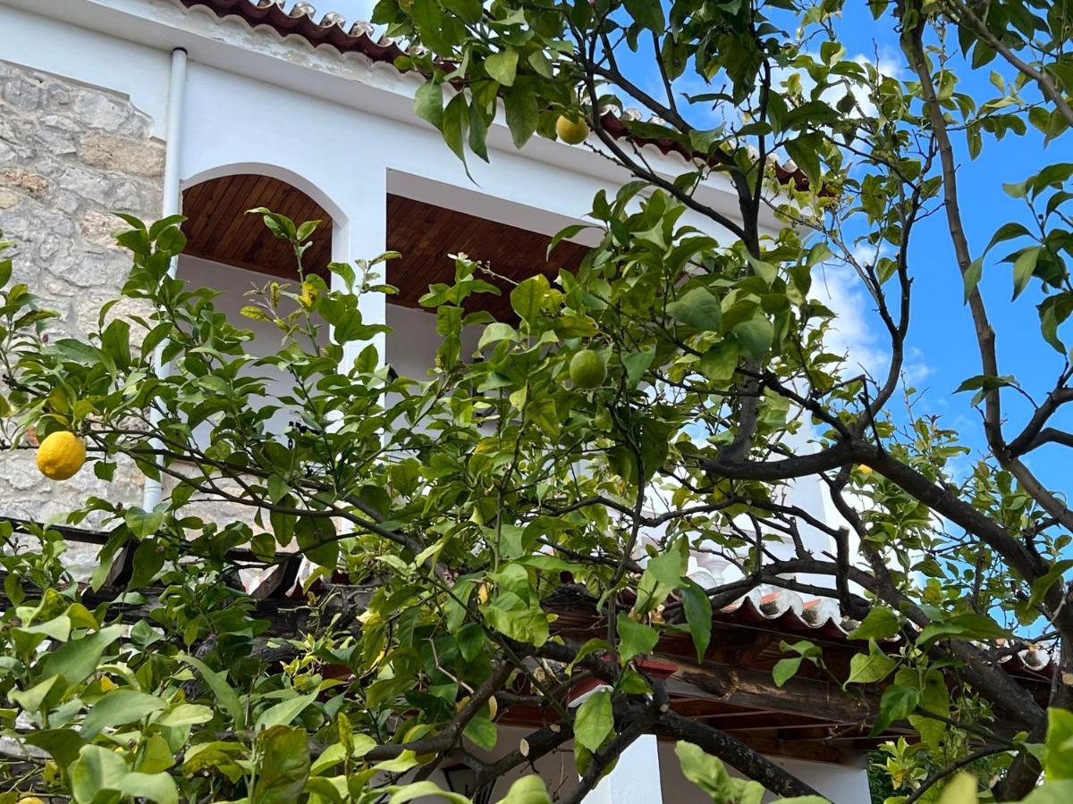 Villa Ancora Spétses