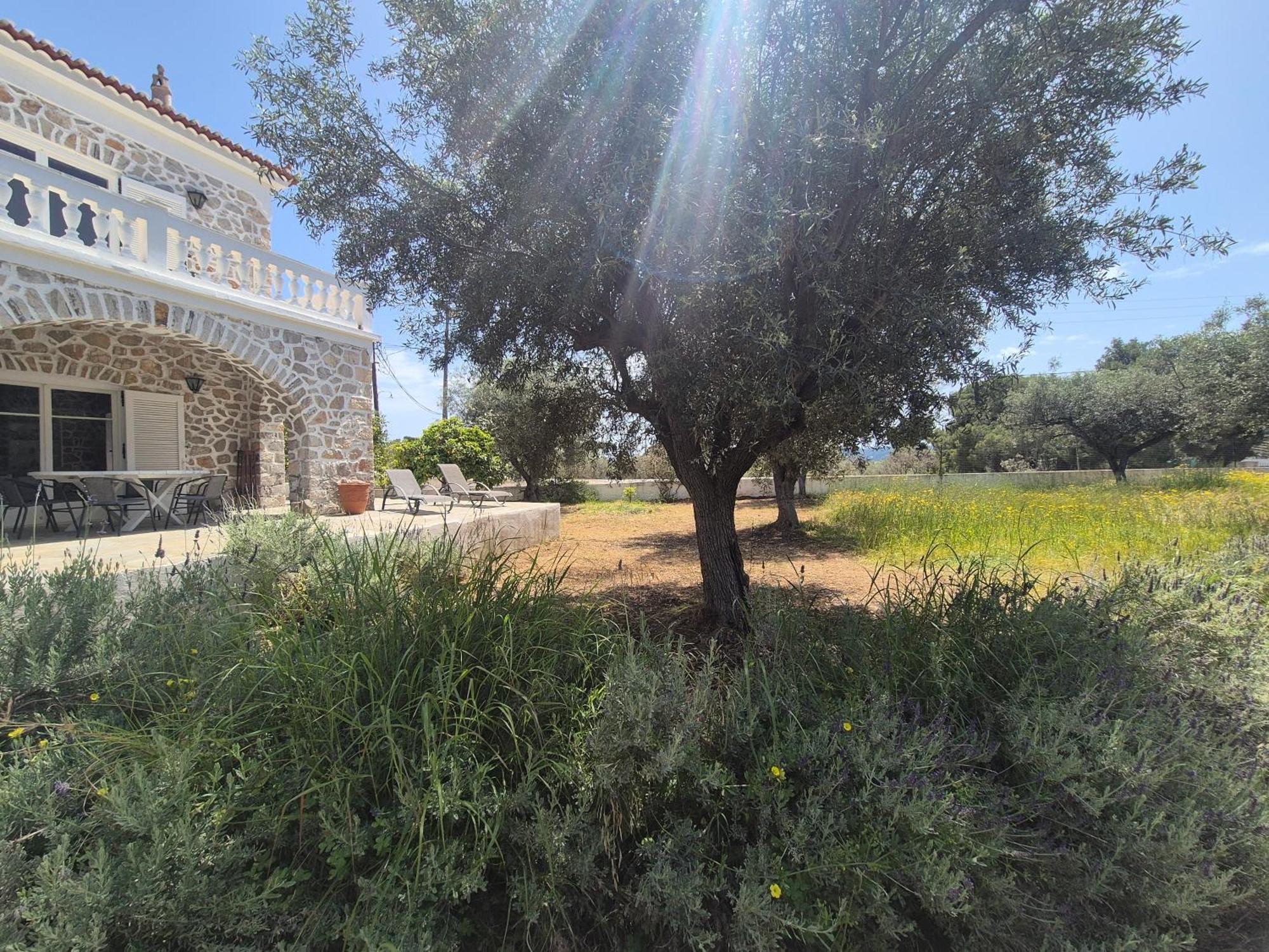 Villa Ancora *