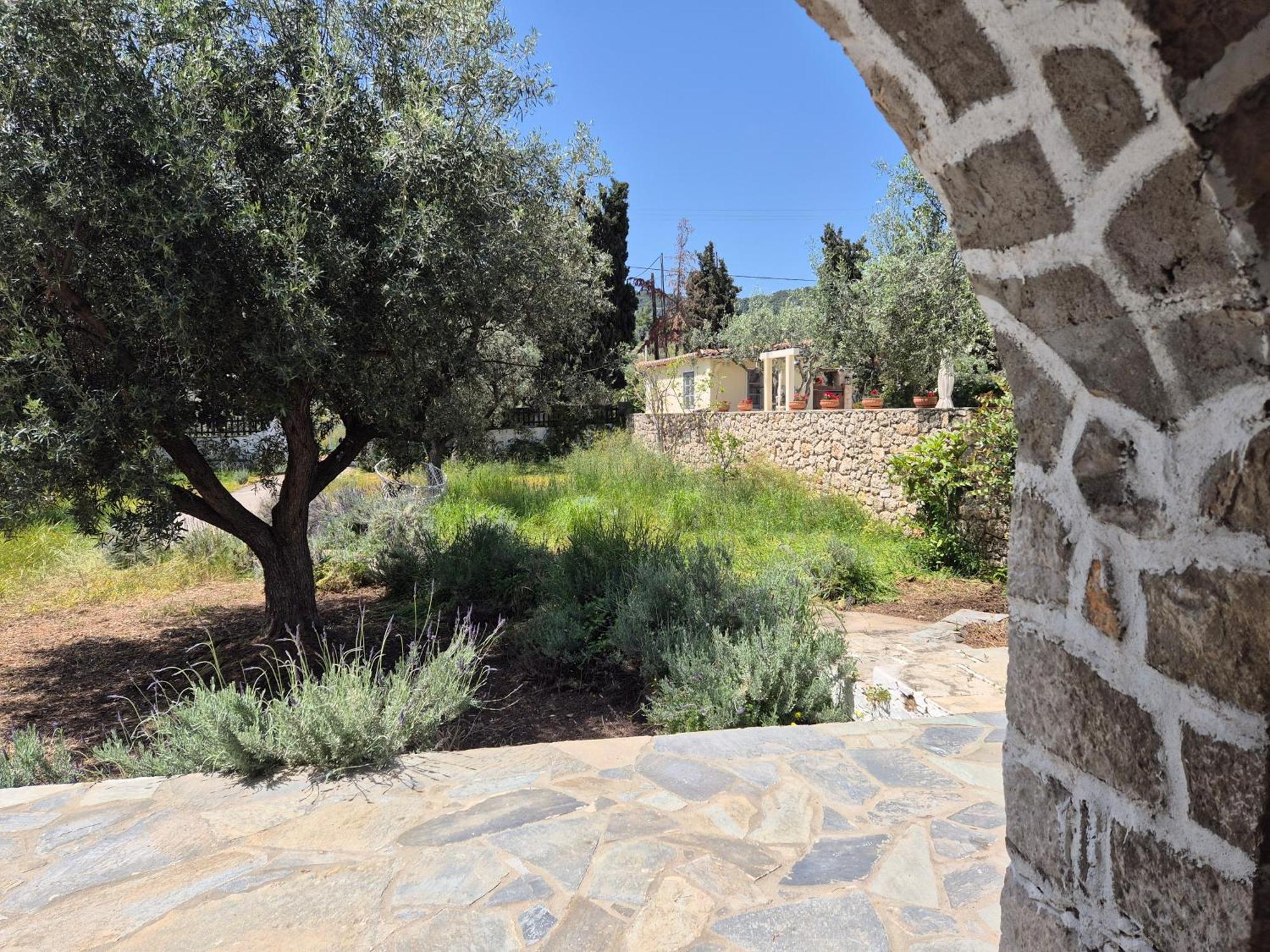 Villa Ancora