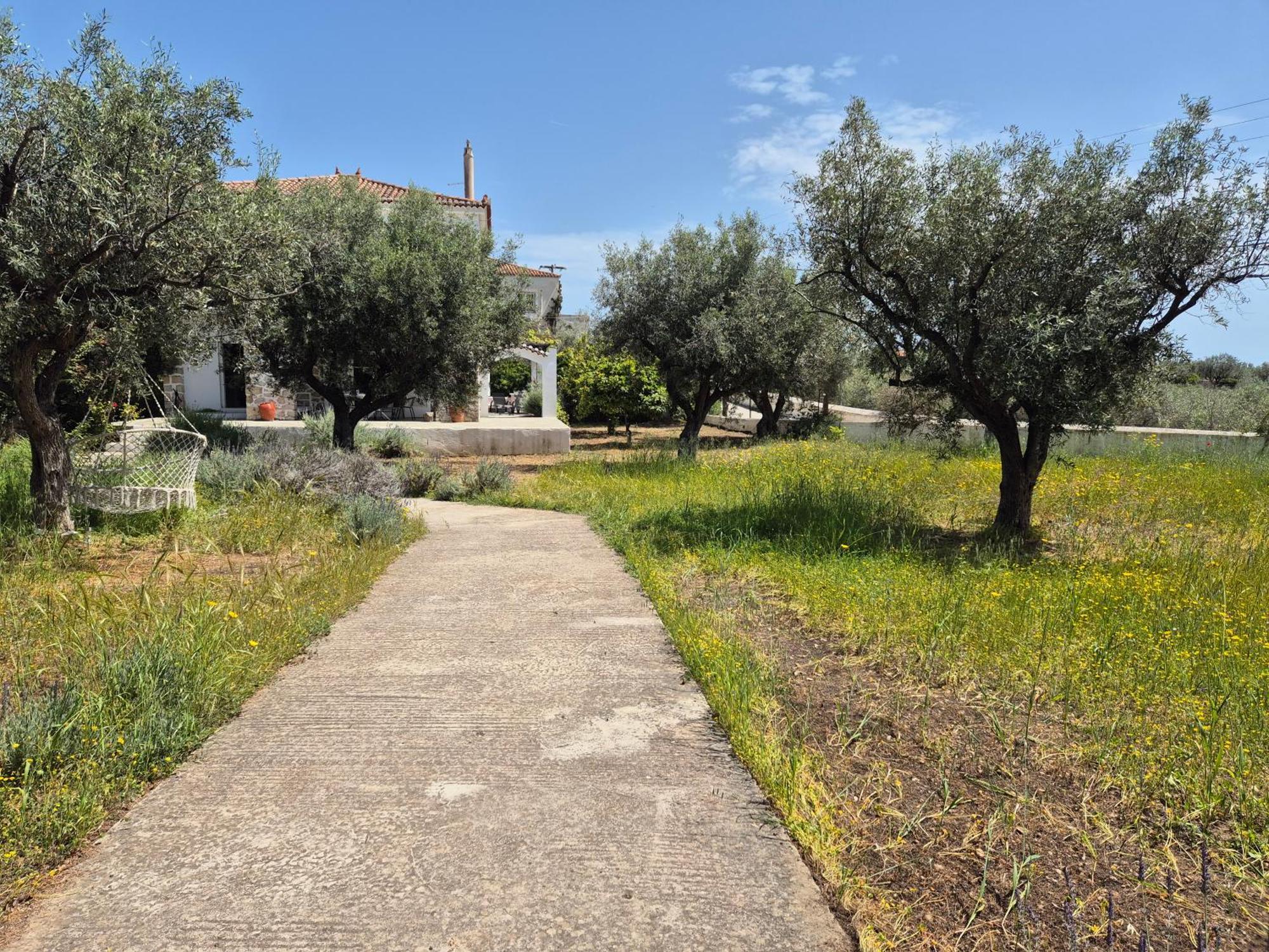 Ancora Villa
